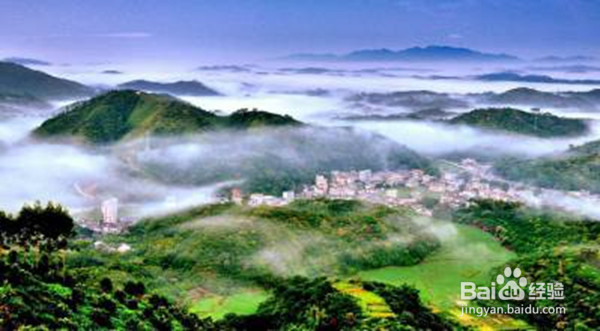 驾考科二如何一次通过?