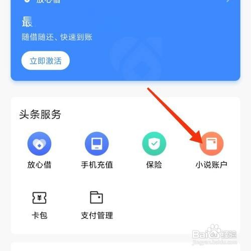 今日头条小说账户的充值记录怎么查