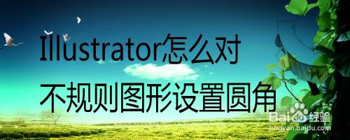 Adobe Illustrator怎么对不规则图形设置圆角
