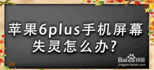 苹果6plus手机屏幕失灵怎么办?