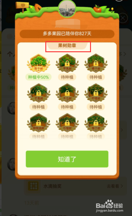 多多果园如何查看自己果树勋章