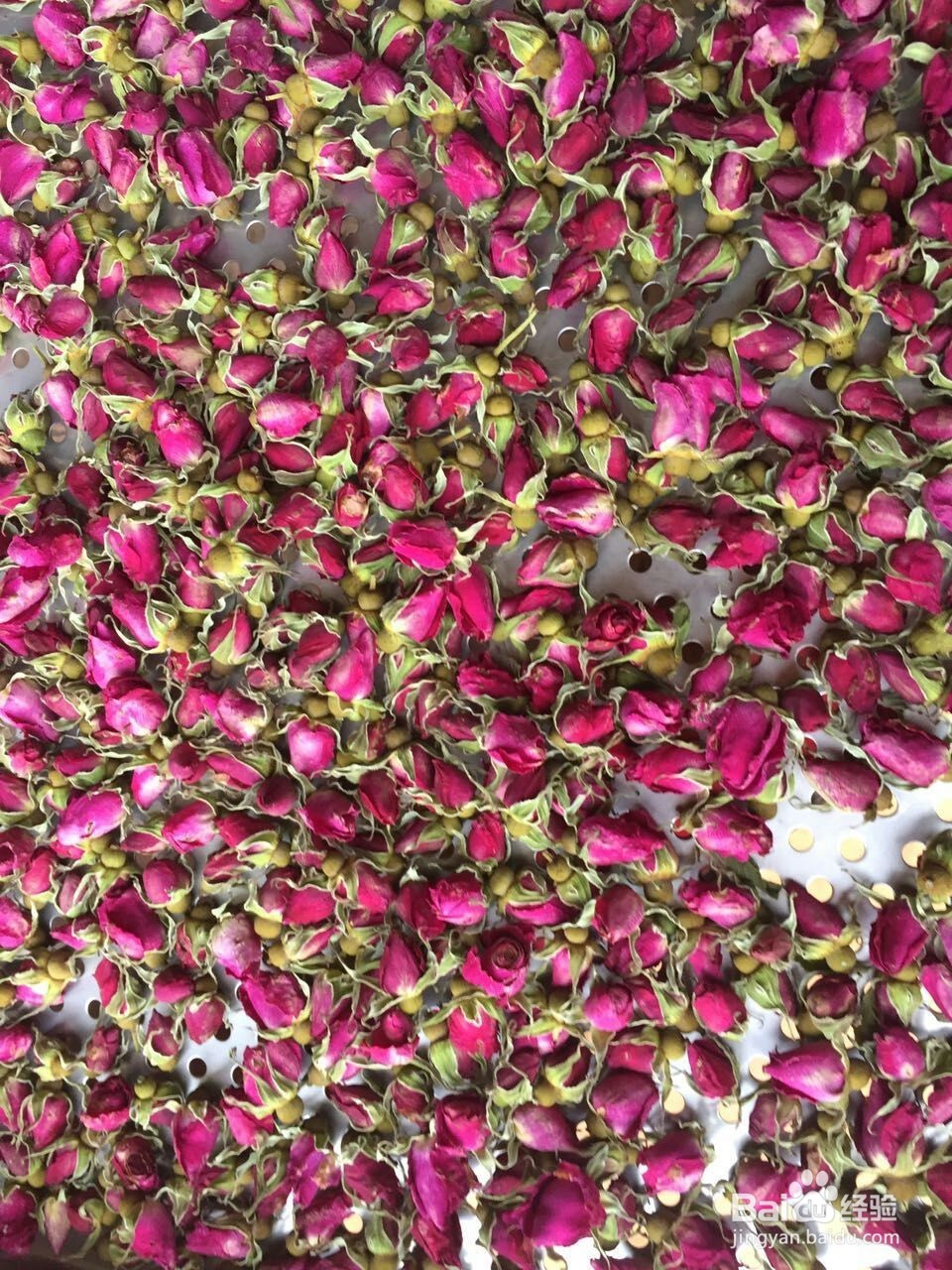 智能热泵烘干机具备的特性智能烘干机的控制逻辑