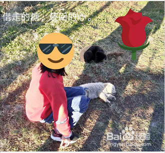 pixellab制作头像教程