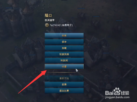 帝国时代4画质怎么设置