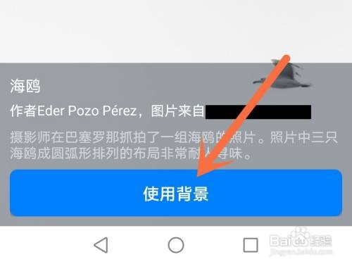 钉钉聊天背景如何设置