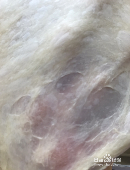 牛奶面包卷的简单做法