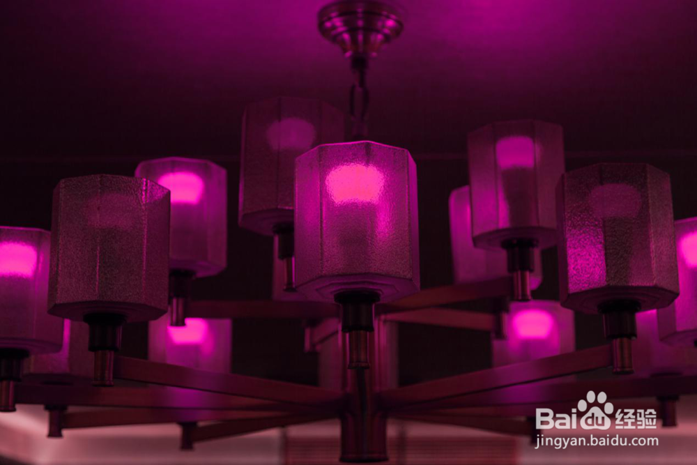 QUBIC调调光色机产品简介,人工智能好不好?