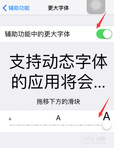 怎么更改苹果手机(iPhone)的字体大小
