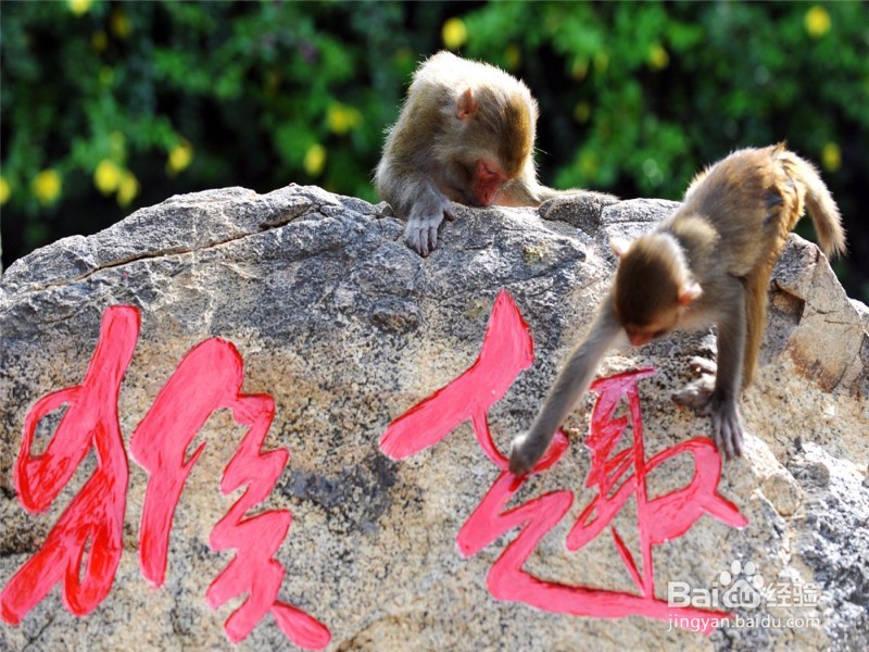 如何选择旅游地点让自己有一次愉快的旅行