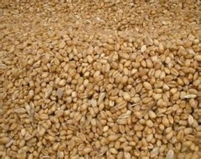 怎么吃五谷才有养生效果