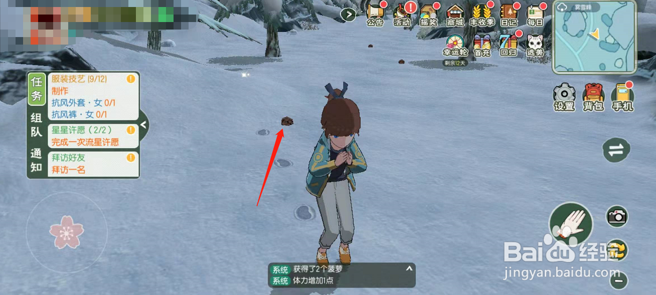 小森生活游戏怎么得到松果