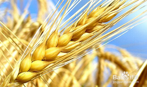 我们不成熟的表现有哪些？