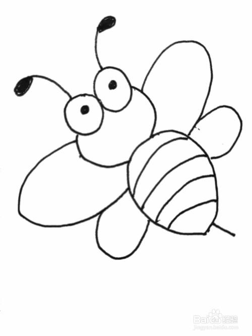 可爱的小蜜蜂绘画教程