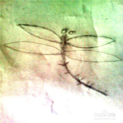 简笔画蜻蜓的画法