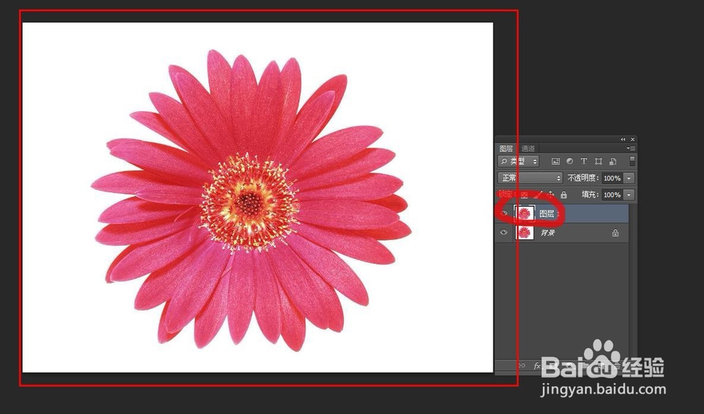 Photoshop教程---制作圆珠笔画效果