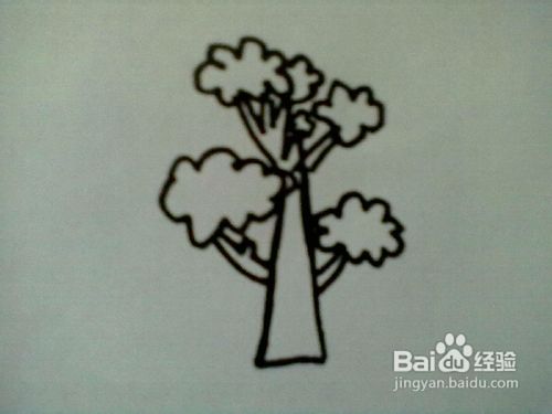 大树简笔画怎么画