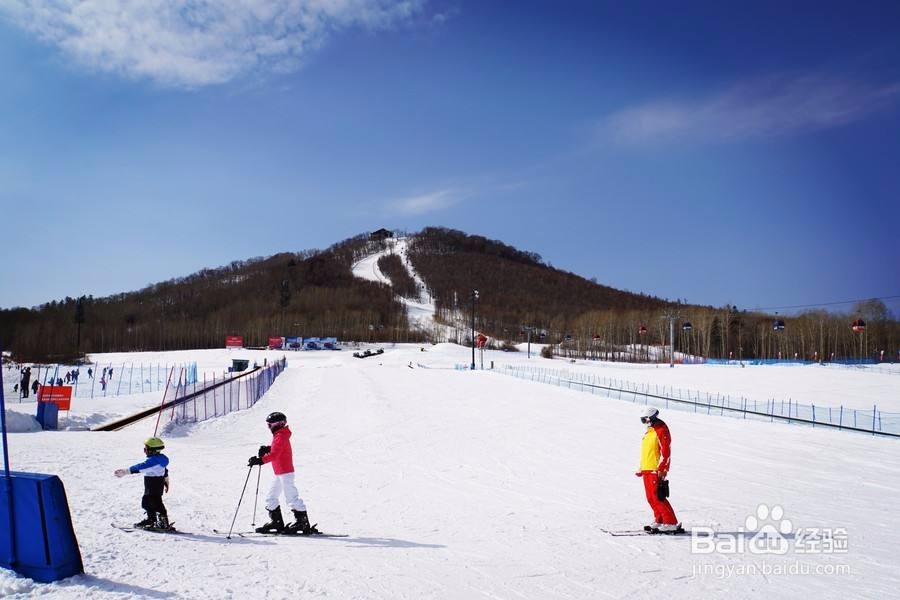 冬天懒得动 何不滑雪玩