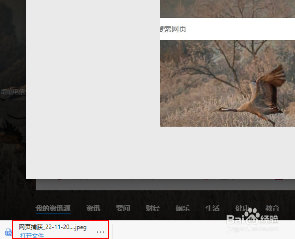 Microsoft Edge浏览器网页捕获如何截屏