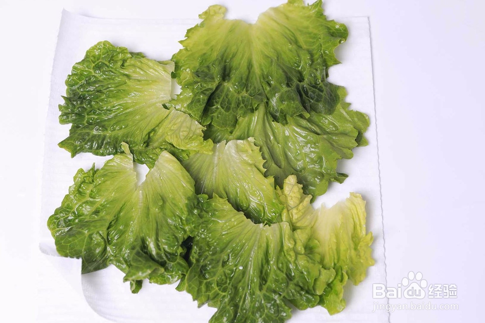 健康低脂沙拉