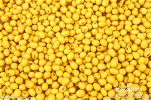 提高记忆力的食物？