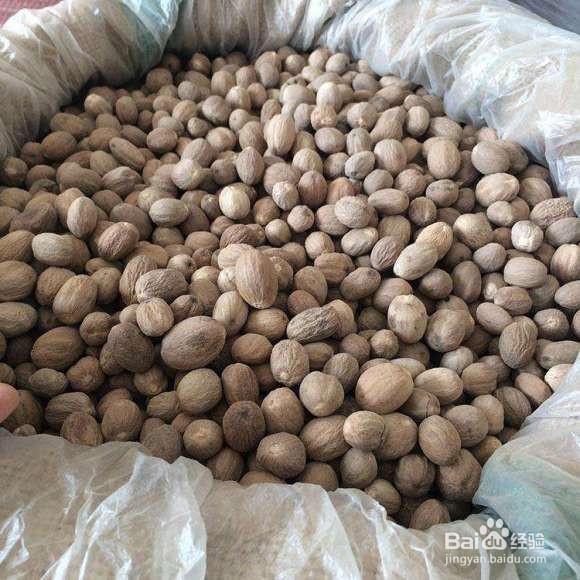 印尼肉豆蔻进口报关清关详细手续及所需资料