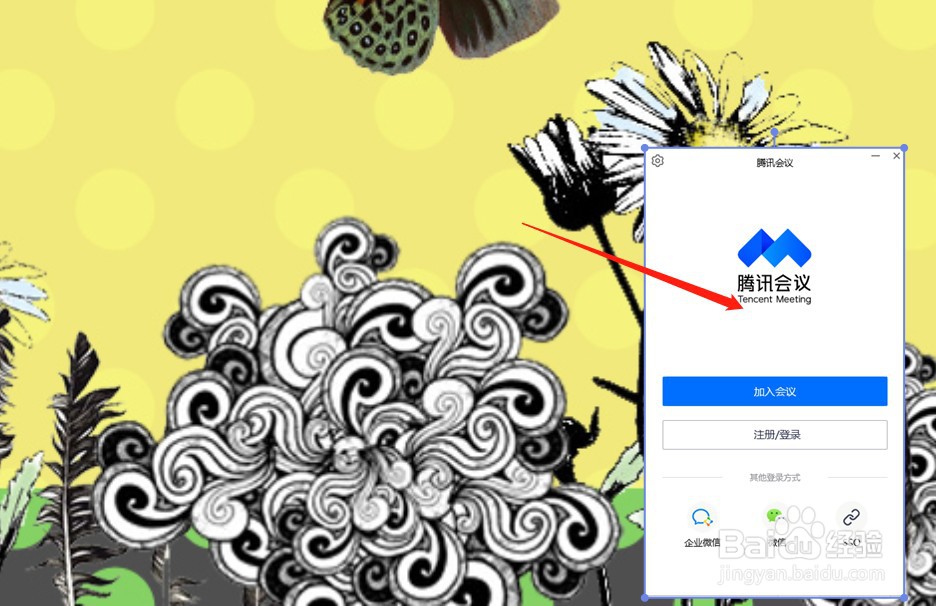 代理设置如何选择使用IP地址功能？