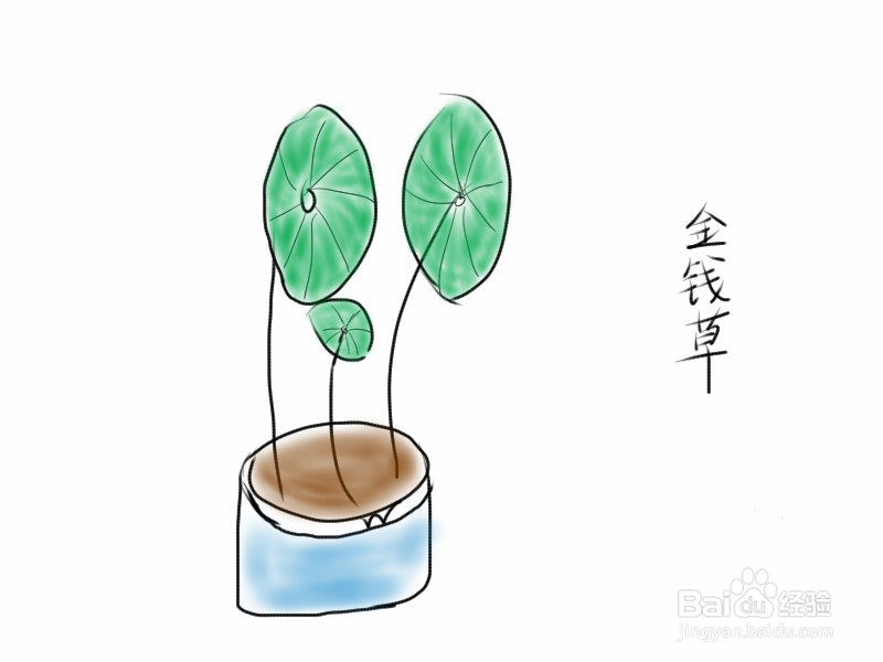 #过年#快过年了教你手绘金钱草旺旺财