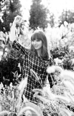 打造时尚色彩照片