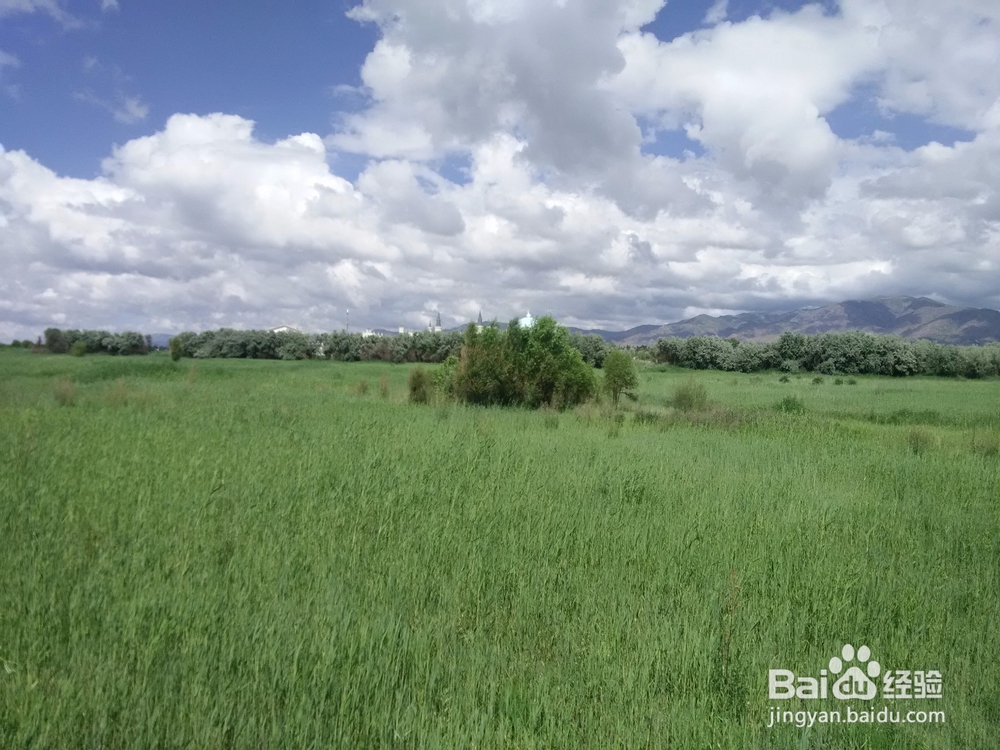 内蒙最佳旅游地?