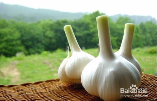 哪些食物有助于降低心脑血管病人的胆固醇