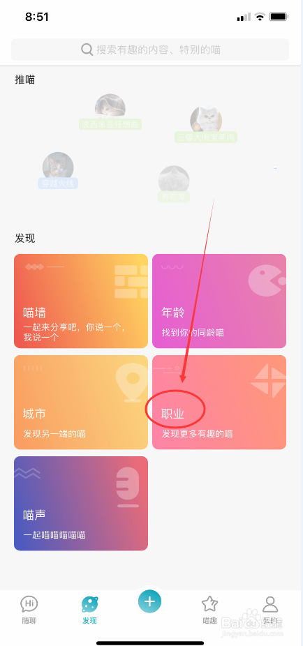 随猫树洞怎么选择职业标签