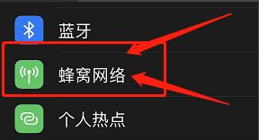 苹果12怎么不显示5g网络