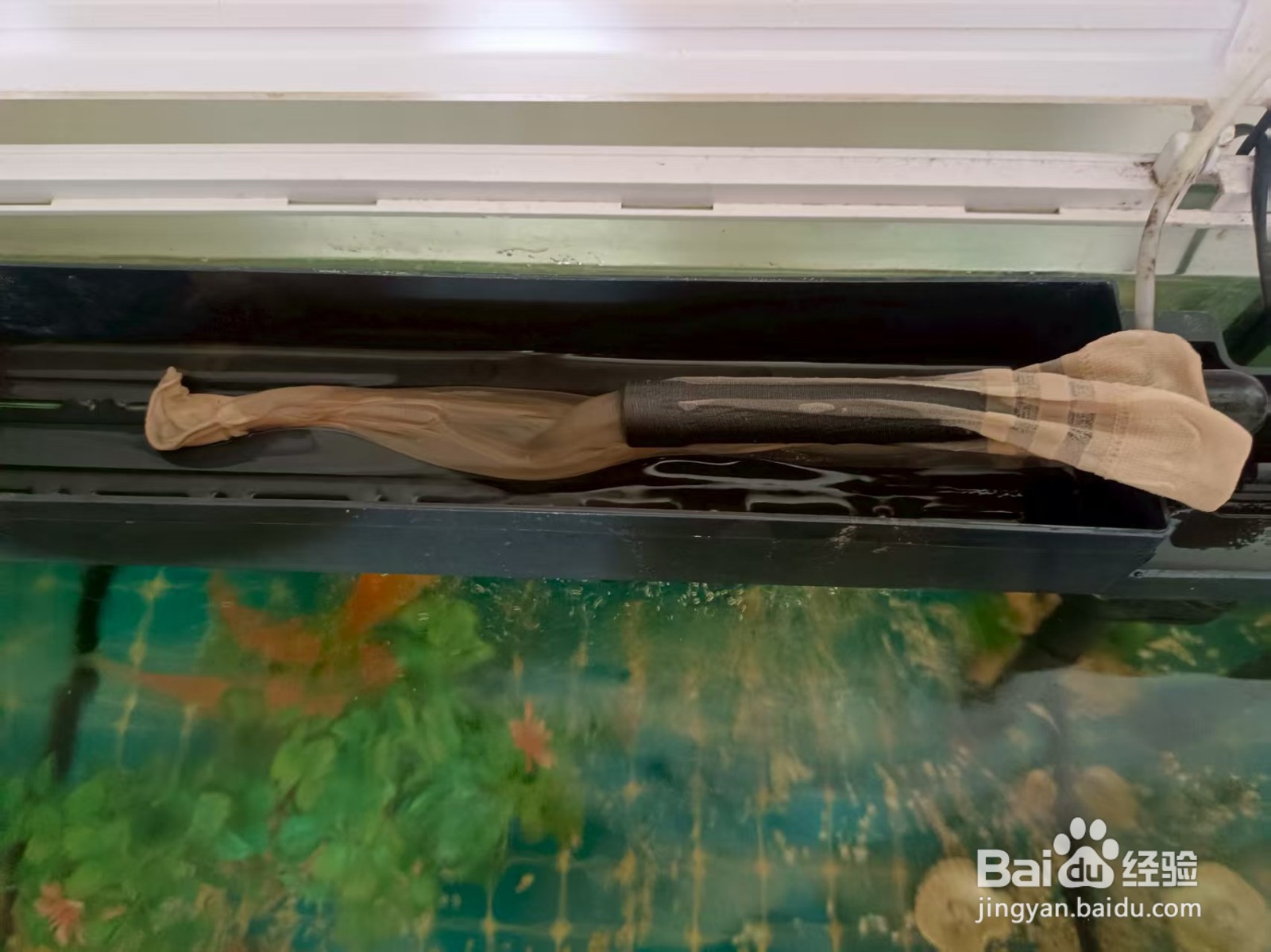 鱼缸少换水妙招