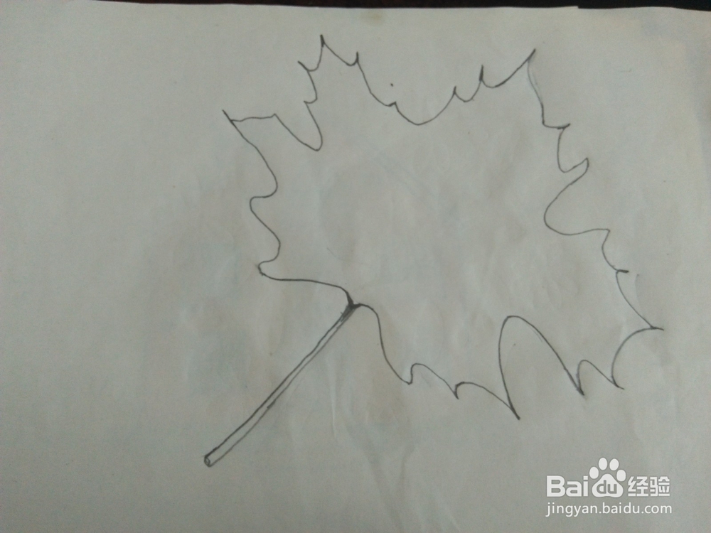 简笔画如何画枫叶