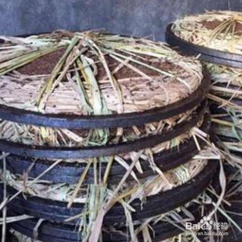 茶油饼洗头的正确方法