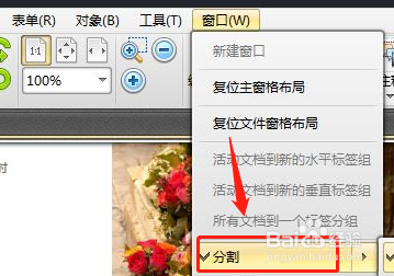 PDF编辑器中对显示页面的分割方法？