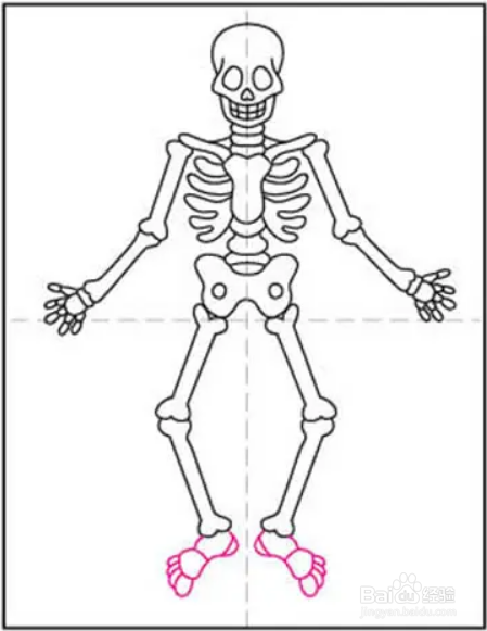 人体骨骼图简笔画图片