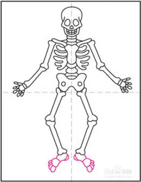全身骨骼图怎么画