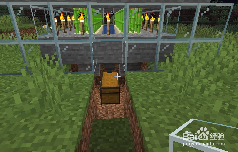 我的世界怎么做自动甘蔗收割机