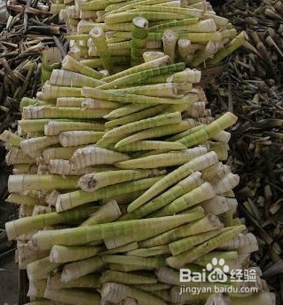 羊尾笋怎么烤制