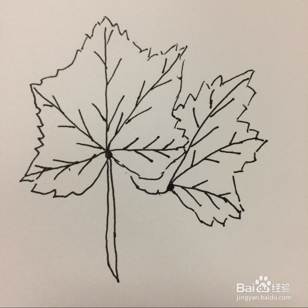 怎样简笔画树叶