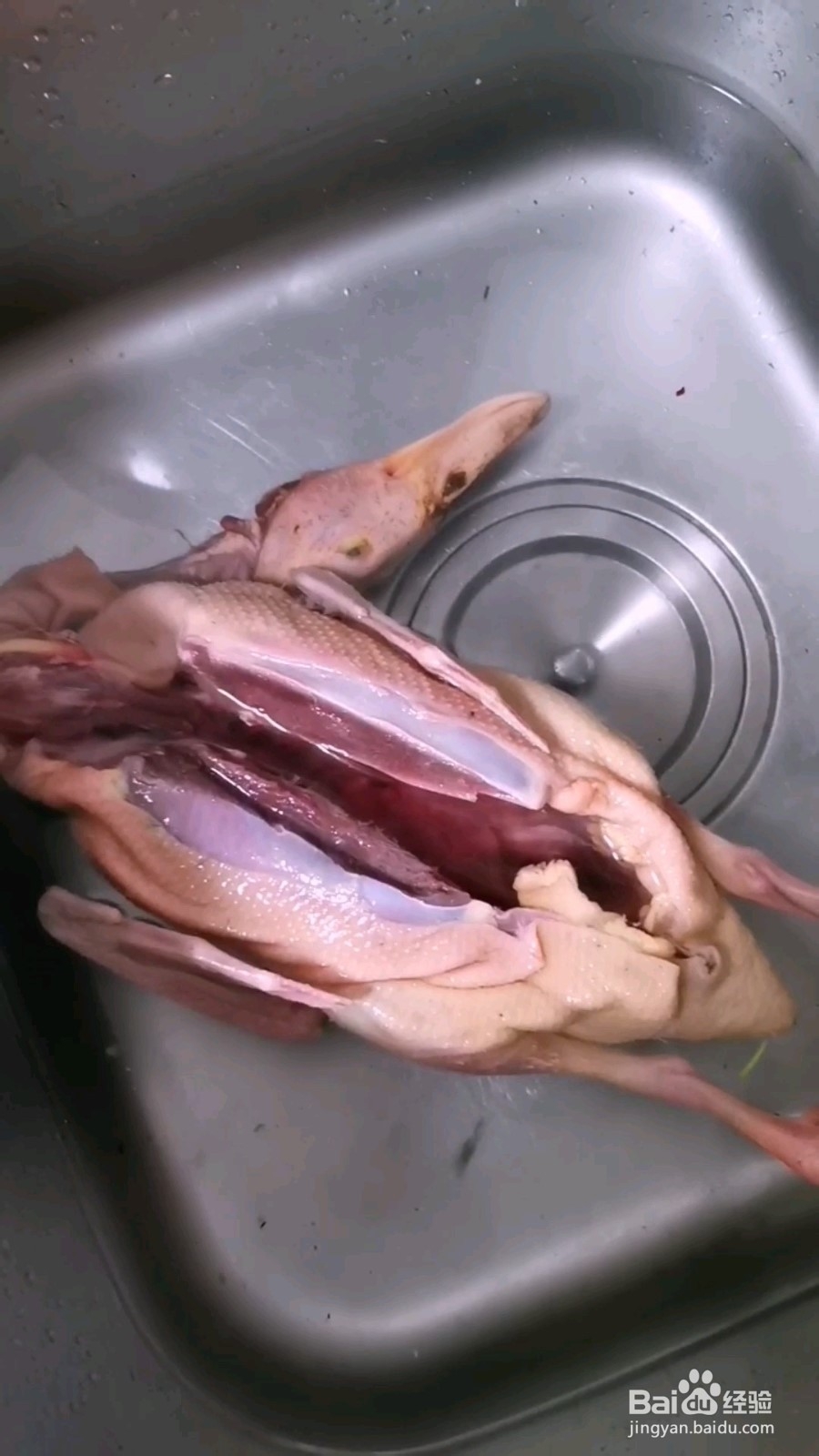 营养虫草老鸭煲