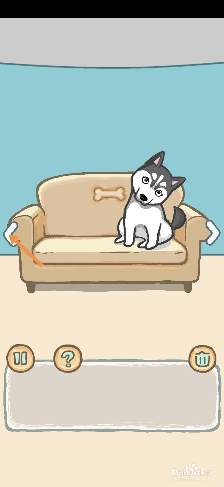 养只二哈不容易拆家并非浪得虚名4-5天怎么过关