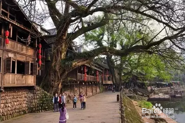 成都周边小江南柳江古镇攻略