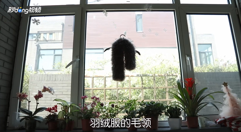 羽绒服毛领应该如何清洗才能变得蓬松