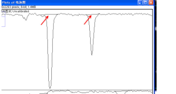 Image J软件进行图片条带灰度值分析