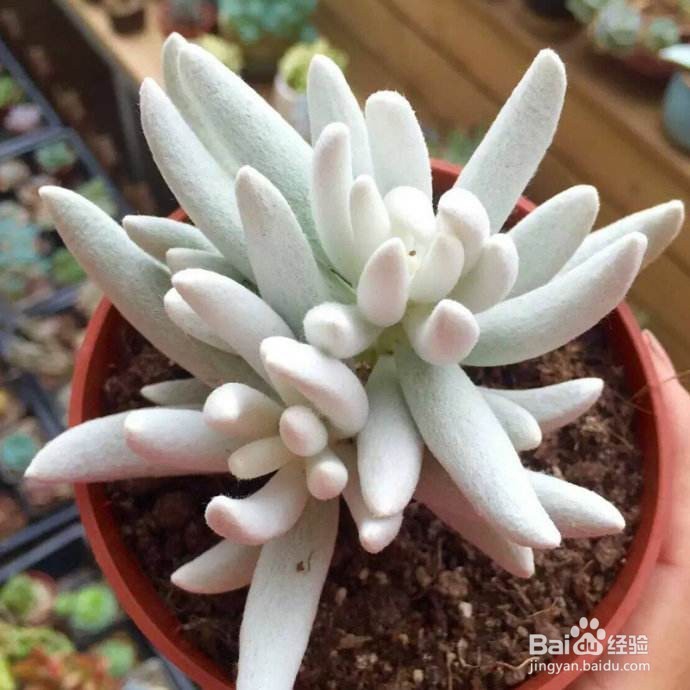 搬家之后如何快速适应新的环境？