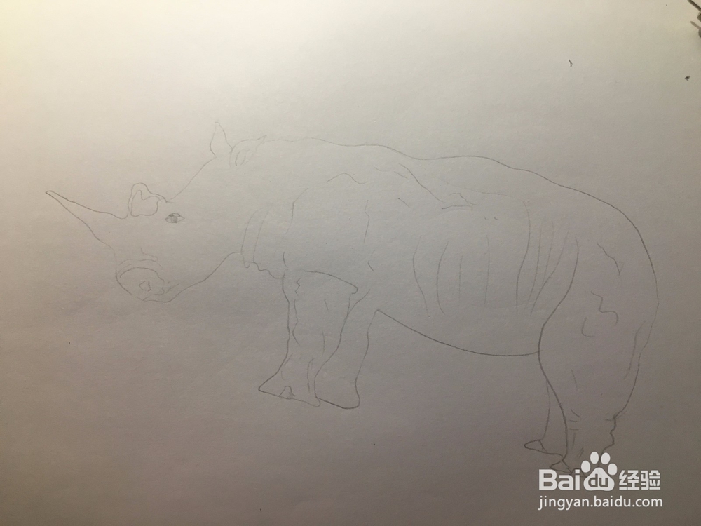 画一只犀牛 犀牛简笔画 幼儿绘画 儿童绘画