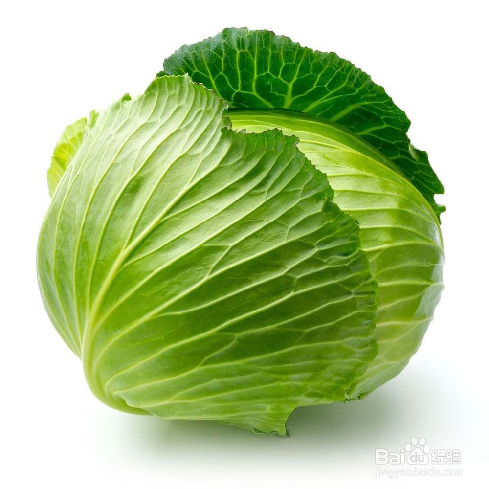 家养小兔子的方法