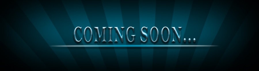 经验小蓝本后续升级安排